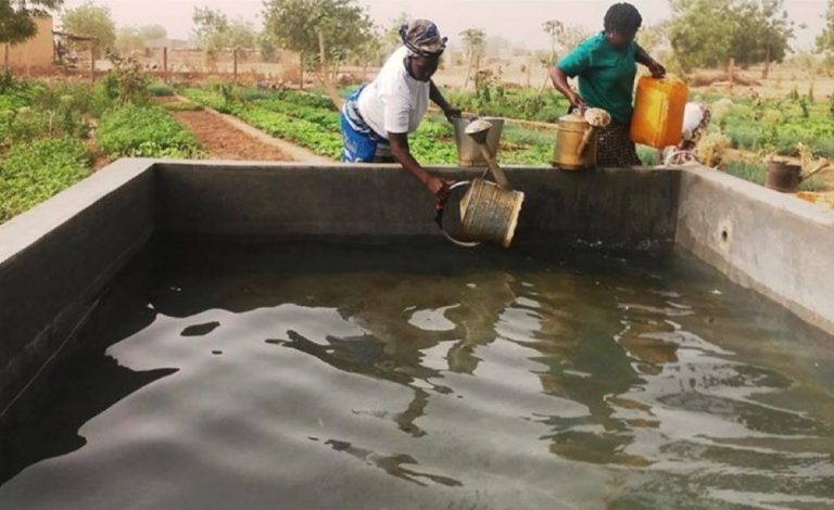 Women drawing water from the new reservoir to irrigate. Source: Friends of Rimkieta