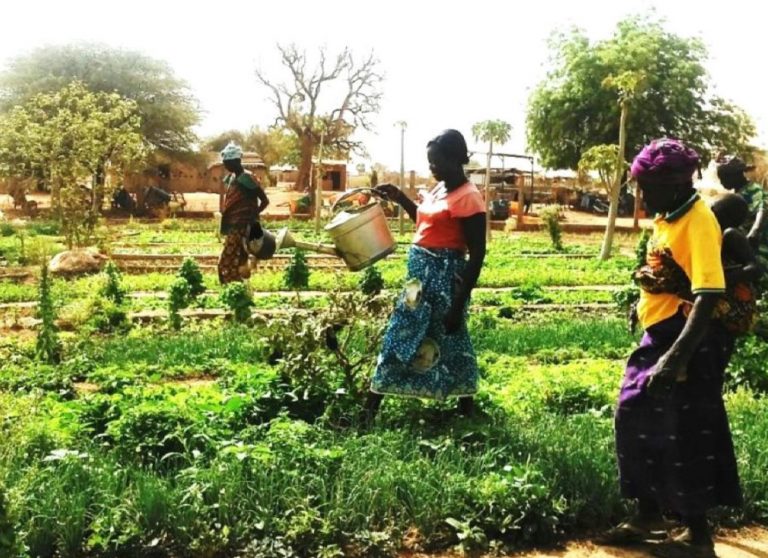 Women watering the garden. Source: Friends of Rimkieta