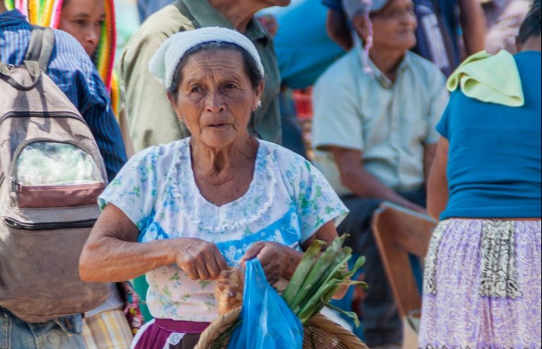 Indigenous woman in the local market. Source: Matyas Rehak