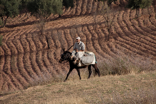 Farmer working on his farm. Source: INMAA