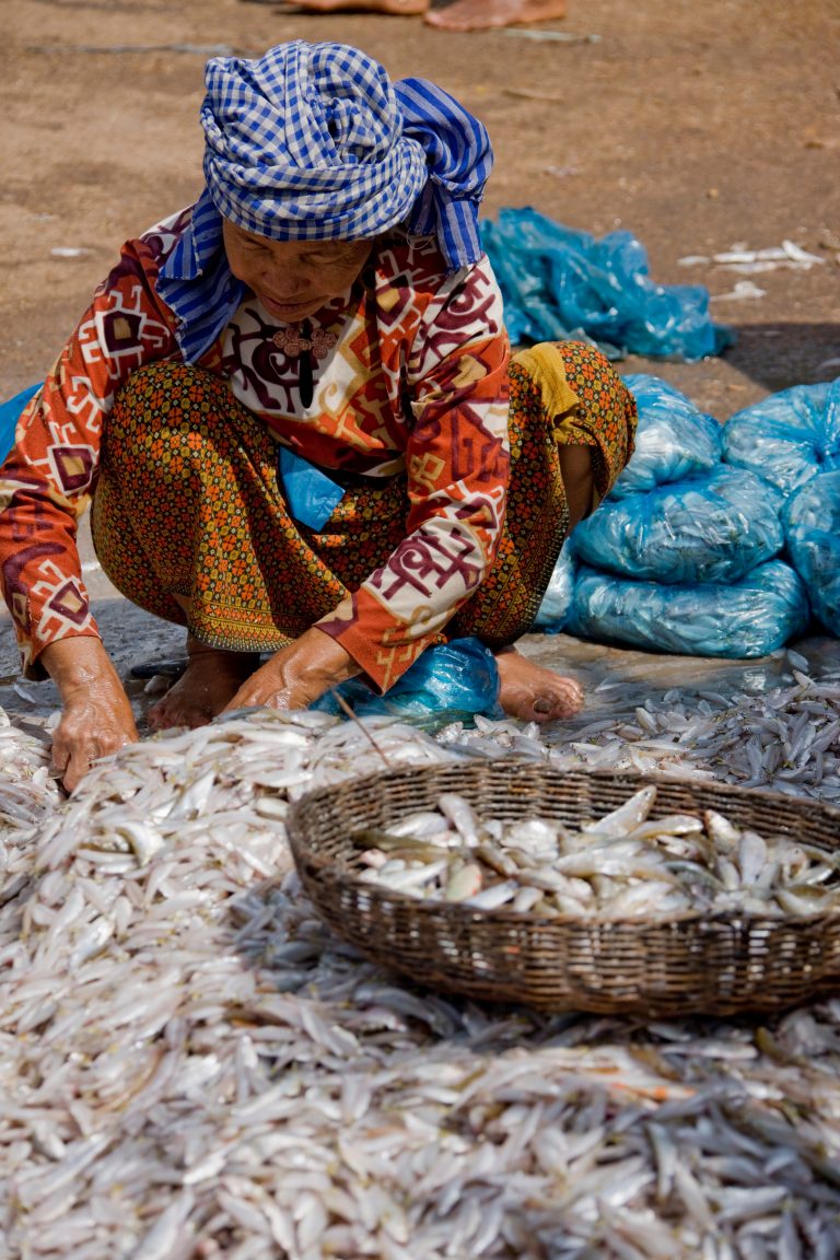 Woman selecting fish in a market. Source: Altrendo Images