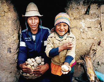 A father and his son with their potatoes. Source: FUNBODEM