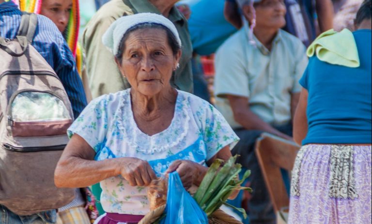 Indigenous woman in the local market. Source: Matyas Rehak