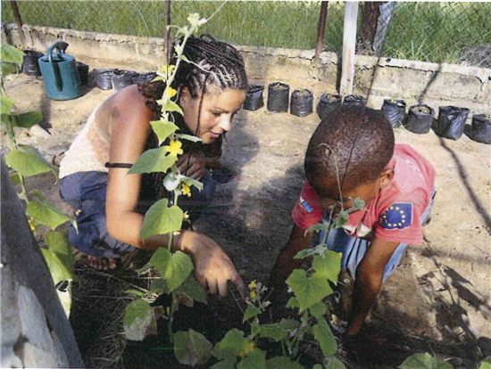 Planting in the garden. Source: IBO Foundation