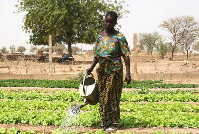 Woman watering her vegetables. Source: Friends of Rimkieta