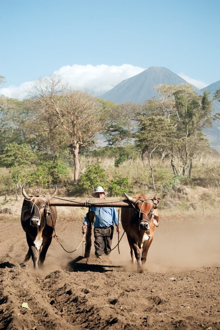 Farmer plowing his land in Sonsonate. Source: Guayo Fuentes