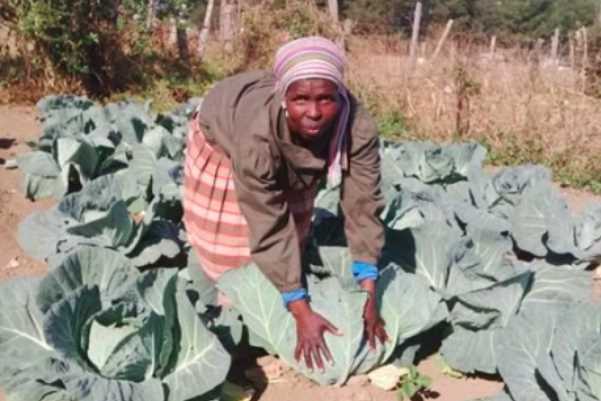 SEF customer with the vegetables to be sold in the market. Source: Small Enterprise Foundation