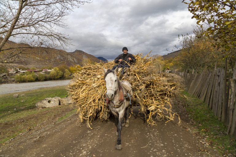 Farmer working on his farm. Source: MehmetO