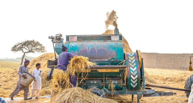 Farmers during the harvest. Source: Magsi