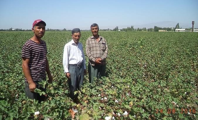 Farmers. Source: IMON International