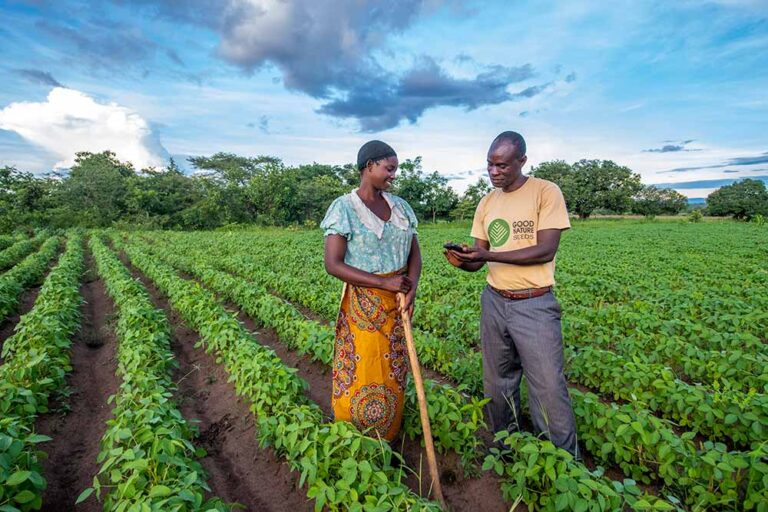 A Good Nature Private Extension Agent reviews a field plan with a Good Nature seed grower in her field. Source: Alison Wright