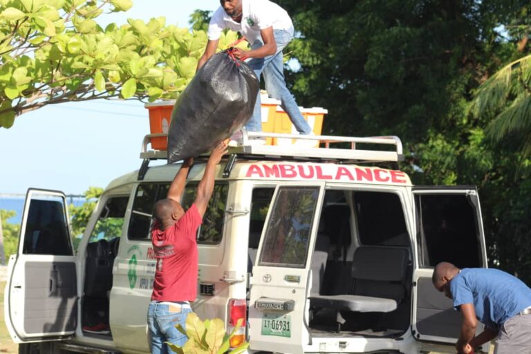 Distribution of medical supplies. Source: Fundación Nuestros Pequeños Hermanos