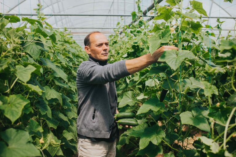 Farmer tending to his crops. Source: EKI MCF