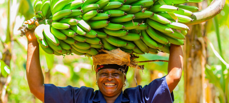 Banana farmer. Source: East Africa Fruits