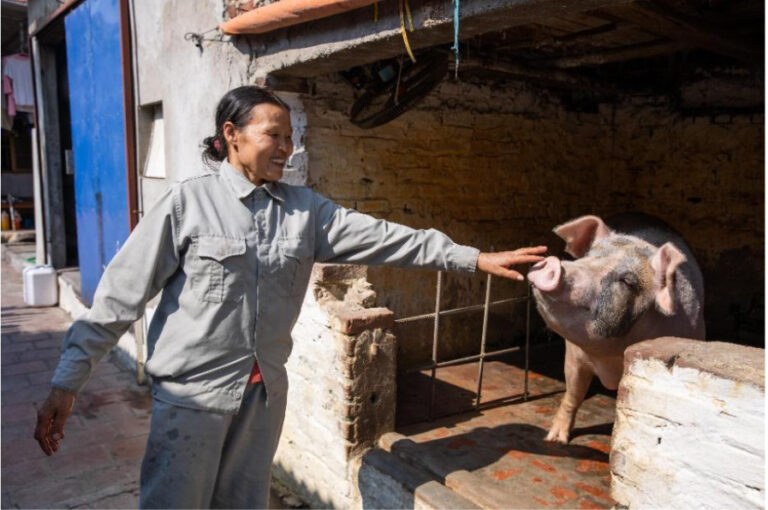 TYM client with their livestock. Source: TYM