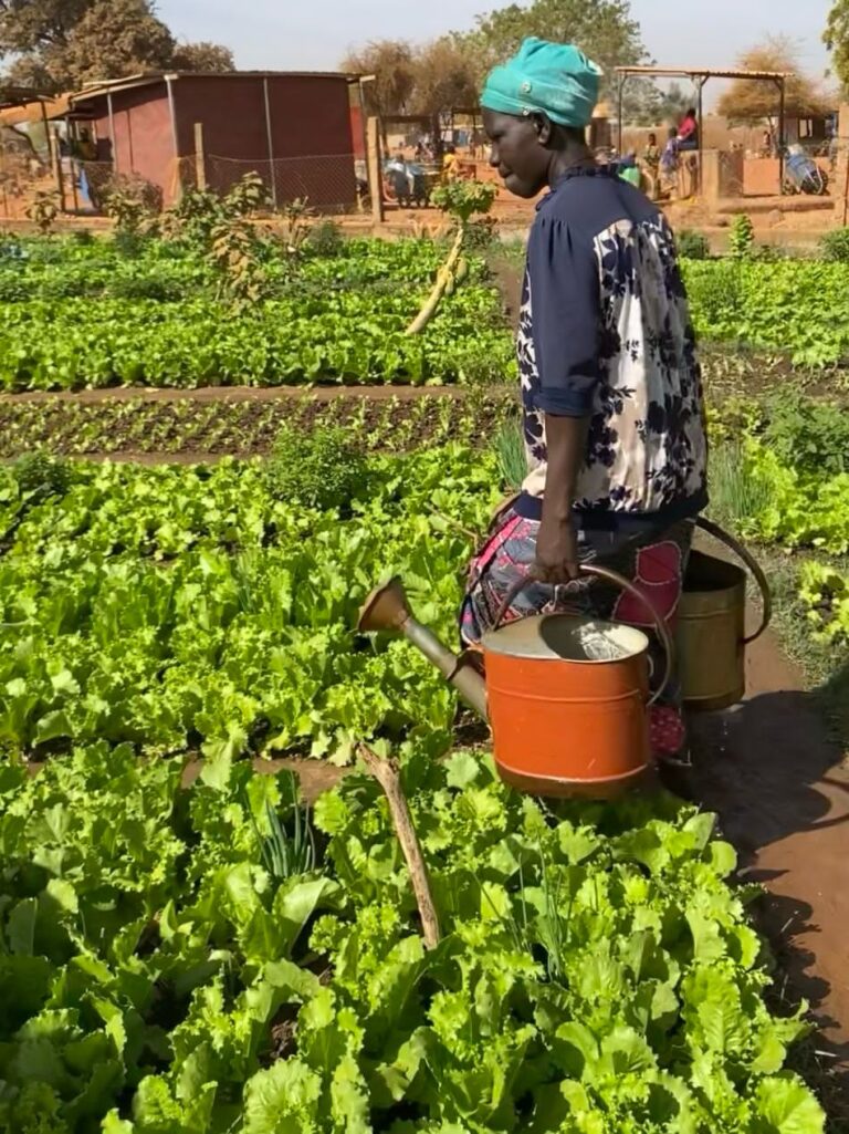 A woman working in the allotment. Source: Amigos de Rimkieta