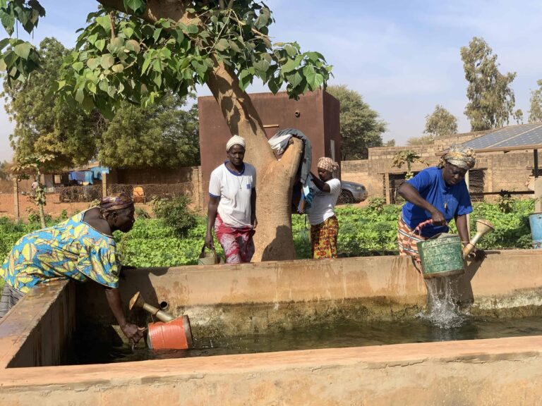 Workers gathering water for the allotment. Source: Amigos de Rimkieta