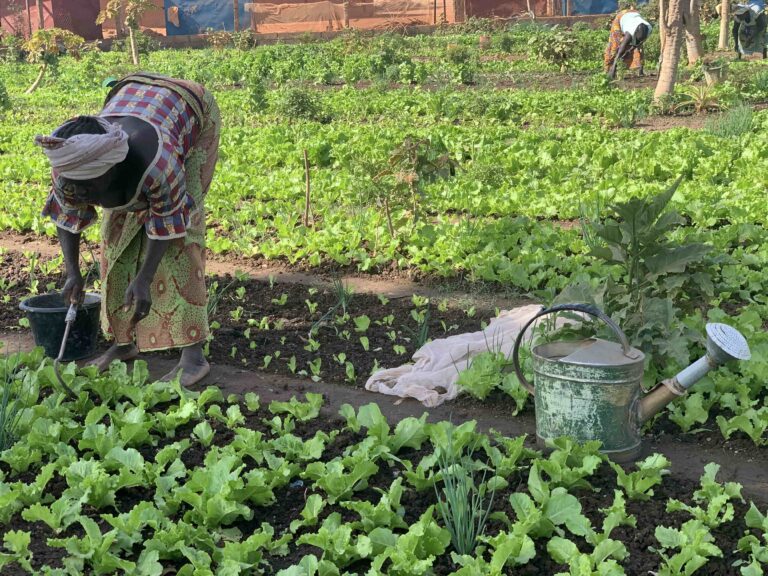 A woman working in the allotment. Source: Amigos de Rimkieta