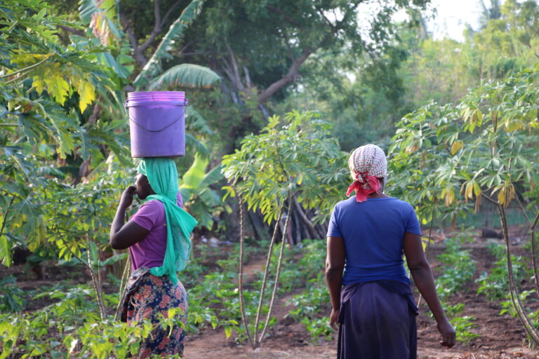 Farmers working on crops. Source: Fundación IBO