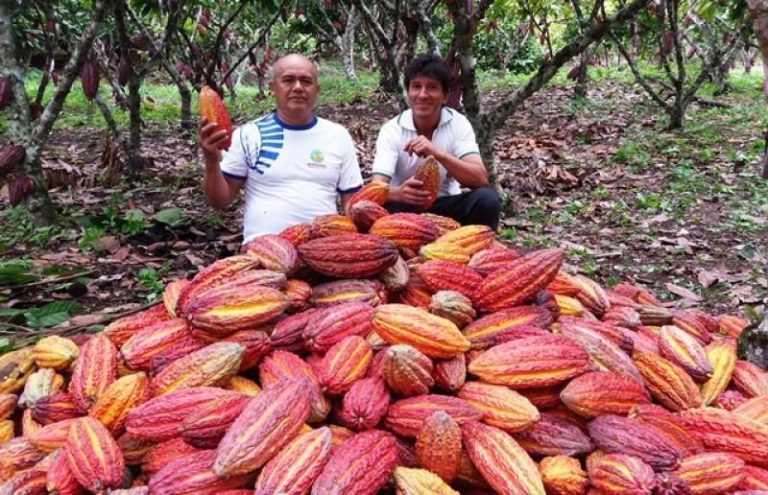 Socios de Acopagro con su producción de cacao. Fuente: Acopagro