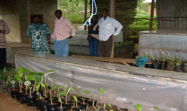 Inicio del proceso en la South West Province, Camerún. Fuente: Trees for the Future