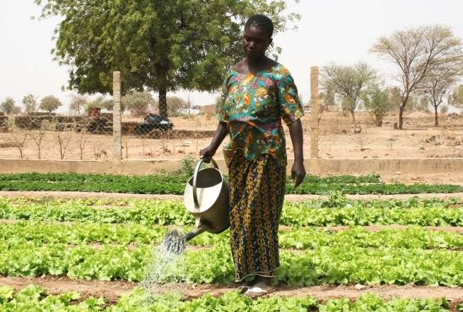 Mujer regando sus verduras. Fuente: Amigos de Rimkieta