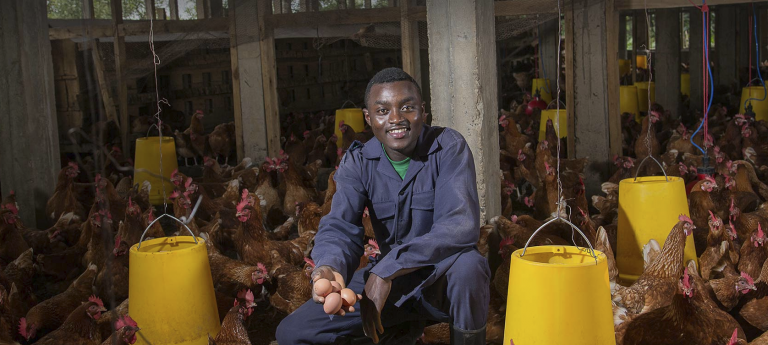 Un hombre con su granja de pollos, conseguida a través de un crédito. Fuente: Juhudi Kilimo