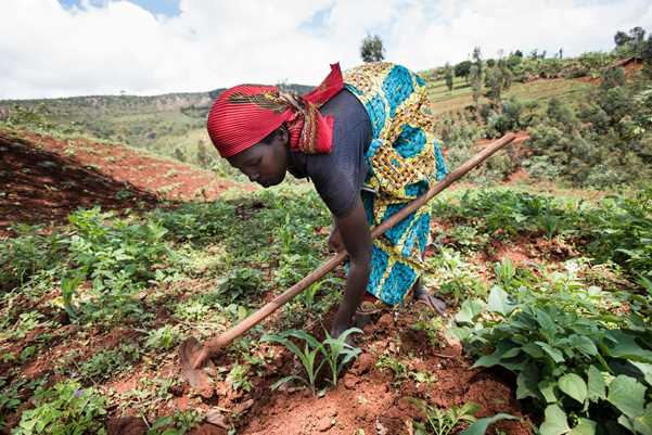 Gaudence Nzomukunda en su huerta en Burundi. Fuente: Hayley Tucker