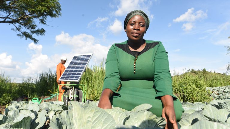 Soluciones para maquinaria agrícola usando energía solar. Fuente: SolarNow