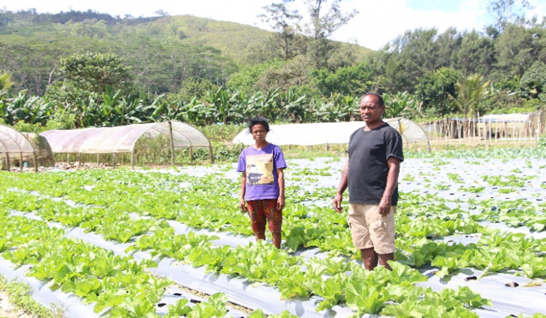 Agricultores que han expandido su producción con un micropréstamo. Fuente: Kaebauk Investimentu No Finansas