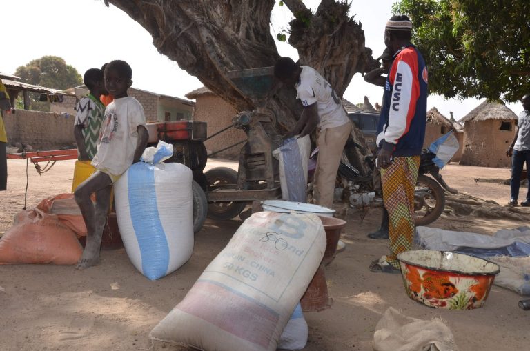 Sacos de arroz para comercializar. Fuente: Ecos de Mali