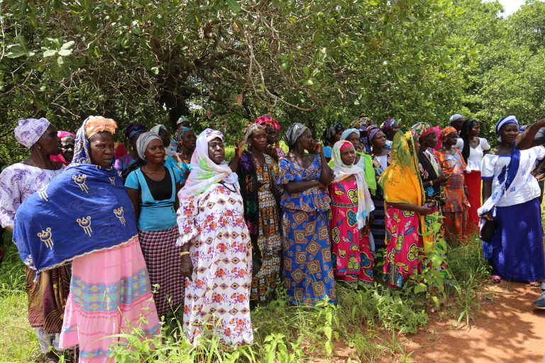 Grupo de mujeres en un pueblo de la región de Kolda. Fuente: Xavier Boulenger