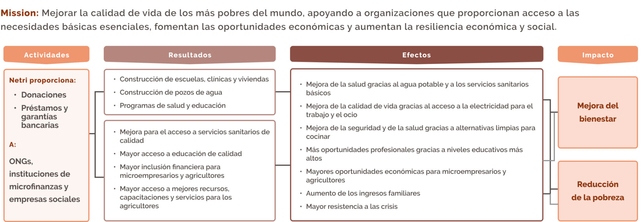 Teoría De Cambio | Fundación Netri