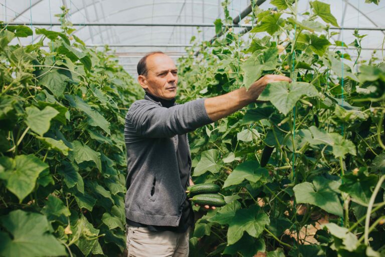 Agricultor cuidando sus cultivos. Fuente: EKI MCF