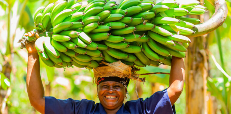 Agricultora de plátanos. Fuente: East Africa Fruits