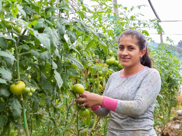 Una clienta con su cosecha de tomates. Fuente: FACES