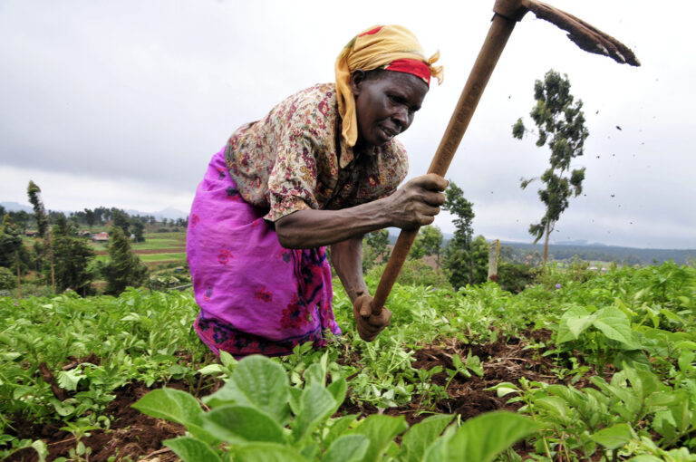 Agricultora trabajando su campo. Fuente: Unacrep