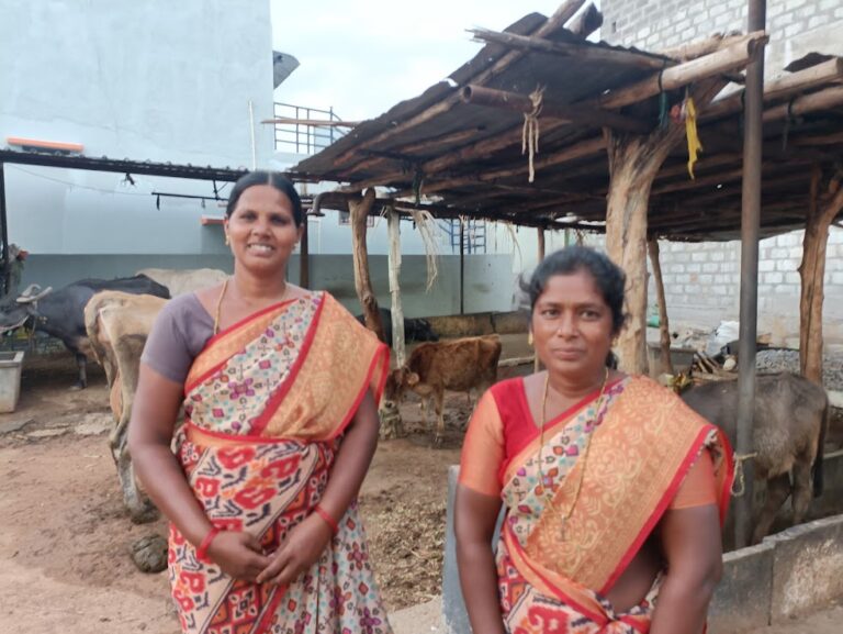 Two widows looking after their livestock. Source: Fundación Vicente Ferrer