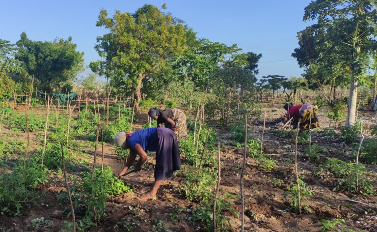 Trabajadoras cultivando la tierra. Fuente: Fundación IBO