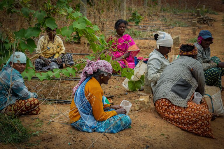 Agricultores cuidando un cultivo. Fuente: Origin Fresh