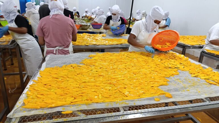 Procesado del mango. Fuente: Perucal