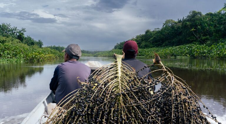 Transportes de productos agrícolas. Fuente: Amapuri
