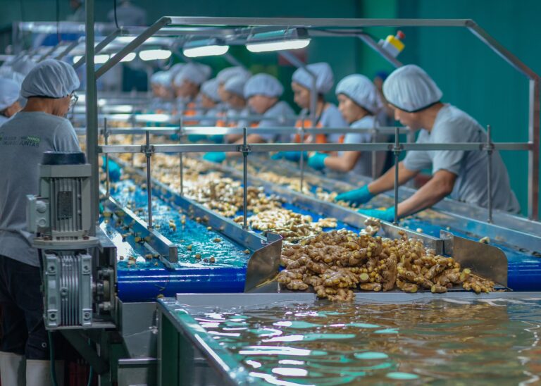 Planta procesadora. Fuente: Beneficial returns Fund