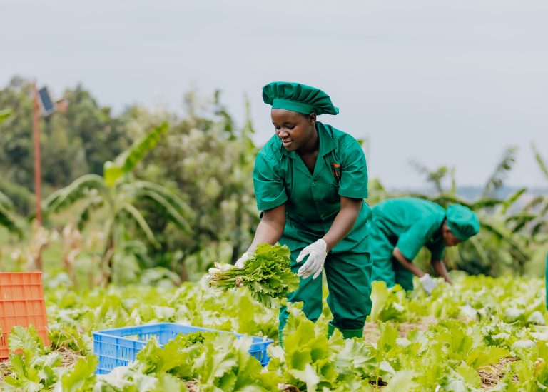 Agricultora de Solid'Africa cosechando. Fuente: Solid'Africa
